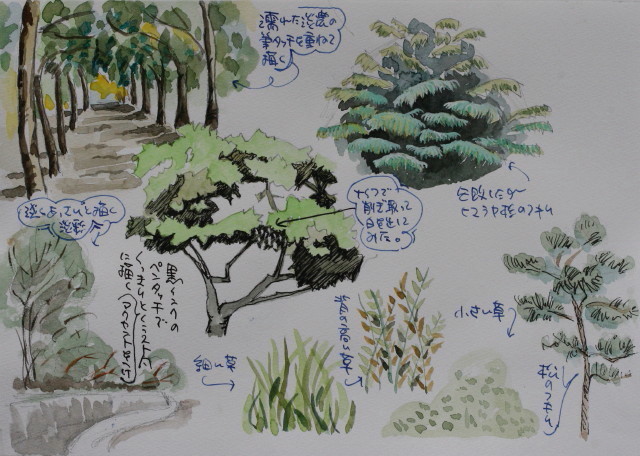 あいさつ 目の前の 不規則な 森 鉛筆 描き方 Izumiotsu Ed Jp